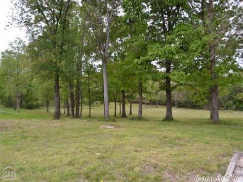 175 Lawrence 128, Ravenden, AR 72459 photo 28