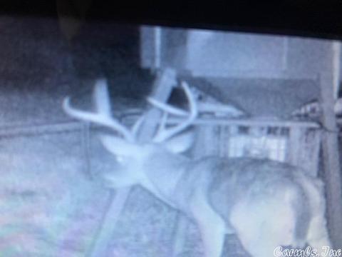 420 Thomas Rd, Leslie, AR 72645 photo 9