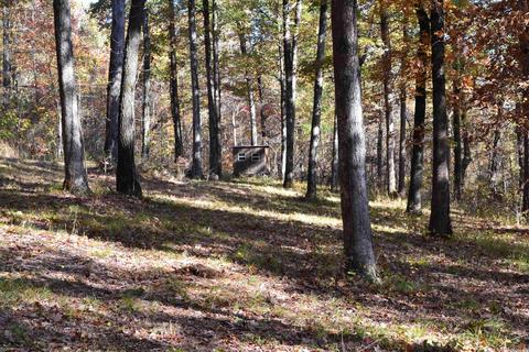 420 Thomas Rd, Leslie, AR 72645 photo 21
