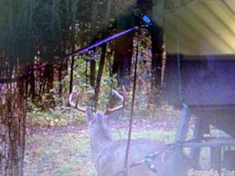 420 Thomas Rd, Leslie, AR 72645 photo 11