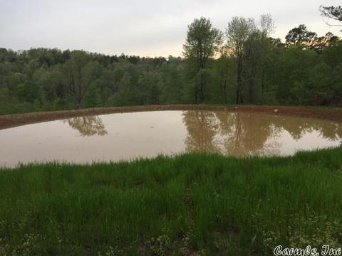 420 Thomas Rd, Leslie, AR 72645 photo 18