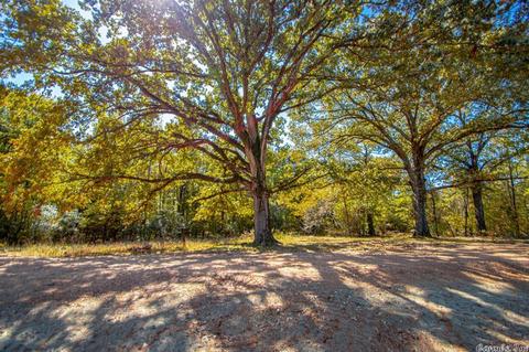 8024 Juliette Way, Benton, AR 72019 photo 23