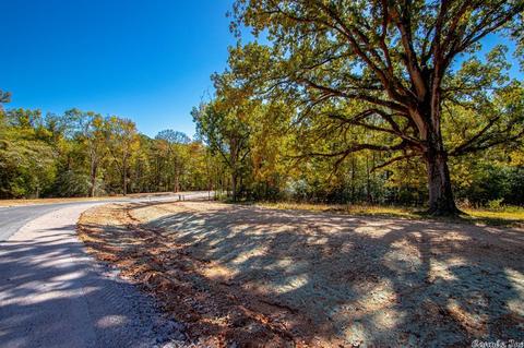 6023 Charley Pl, Benton, AR 72019 photo 25