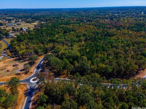 6039 Charley Pl, Benton, AR 72019 photo 11