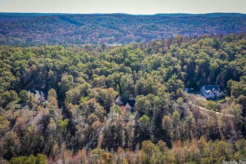 120 Bald Eagle Dr, Paron, AR 72122 photo 45