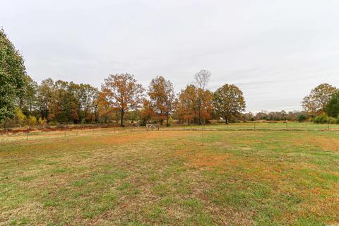 2987 Greene 520 Rd, Marmaduke, AR 72443 photo 3