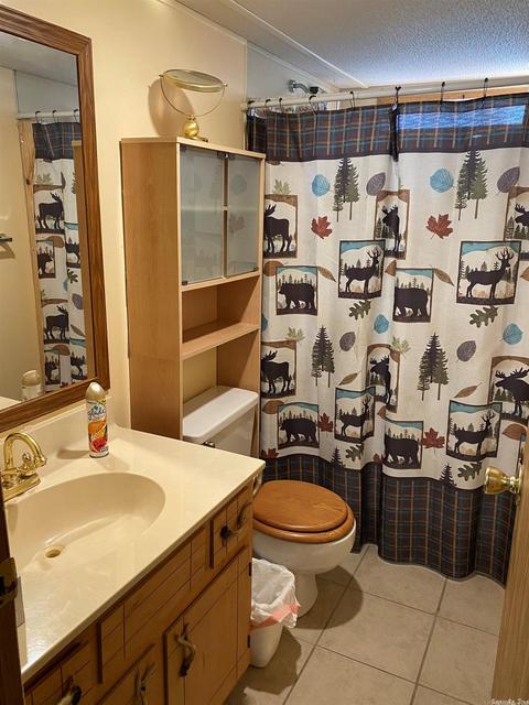 56 Talons Lair Loop, Mount Ida, AR 71957 photo 10