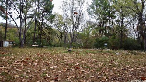 11 Azalea Loop, Conway, AR 72032 photo 12