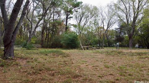 11 Azalea Loop, Conway, AR 72032 photo 8