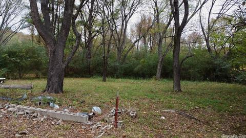 11 Azalea Loop, Conway, AR 72032 photo 9