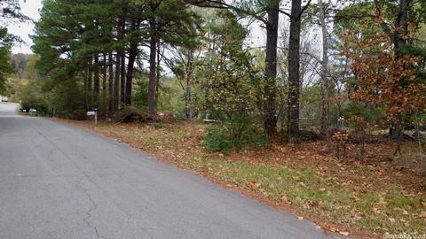 11 Azalea Loop, Conway, AR 72032 photo 14