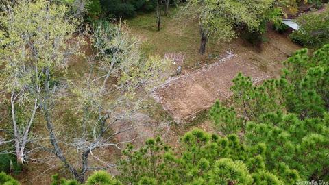 11 Azalea Loop, Conway, AR 72032 photo 4