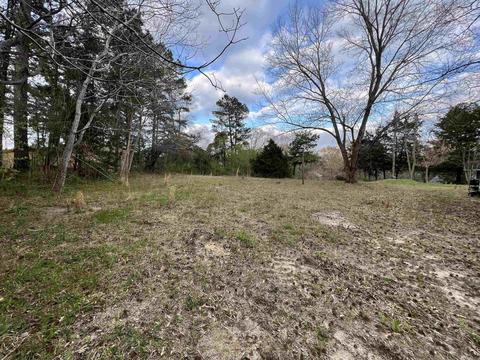 22410 Chicot, Mabelvale, AR 72103 photo 1