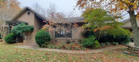 148 Cooper Point Dr, Mountain View, AR 72560 photo 1