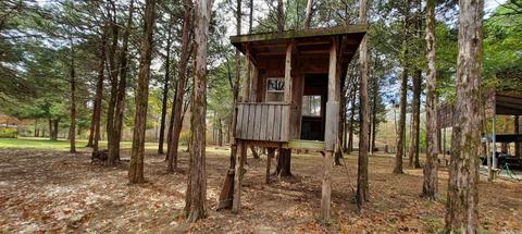 148 Cooper Point Dr, Mountain View, AR 72560 photo 45