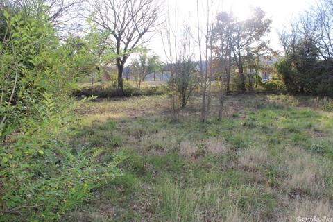 1008 Shipman Dr, Mountain View, AR 72560 photo 14