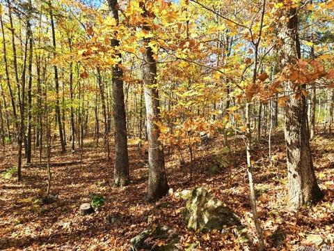238 Roaring River Rd, Mountain View, AR 72560 photo 5