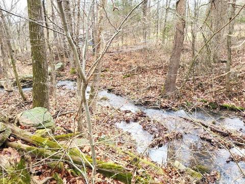238 Roaring River Rd, Mountain View, AR 72560 photo 7
