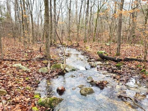 238 Roaring River Rd, Mountain View, AR 72560 photo 8