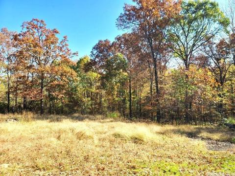 238 Roaring River Rd, Mountain View, AR 72560 photo 31