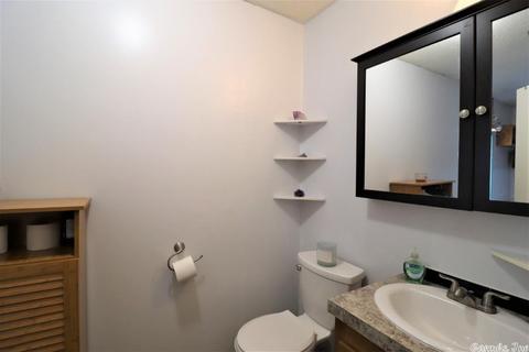 238 Roaring River Rd, Mountain View, AR 72560 photo 25