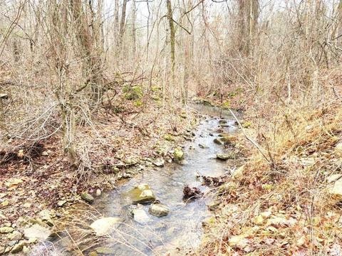238 Roaring River Rd, Mountain View, AR 72560 photo 6