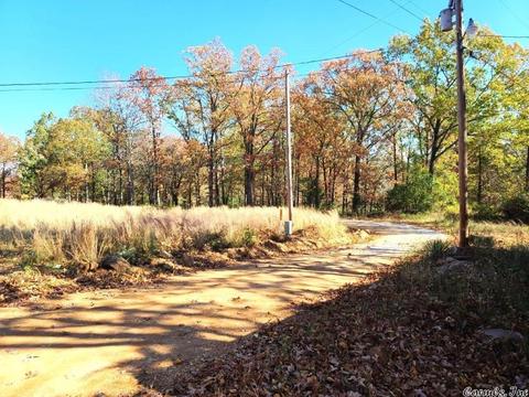 238 Roaring River Rd, Mountain View, AR 72560 photo 32