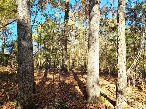 238 Roaring River Rd, Mountain View, AR 72560 photo 3