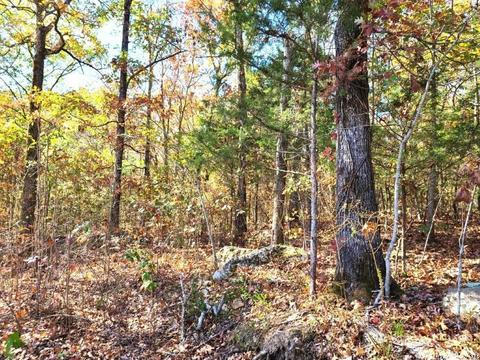 238 Roaring River Rd, Mountain View, AR 72560 photo 36