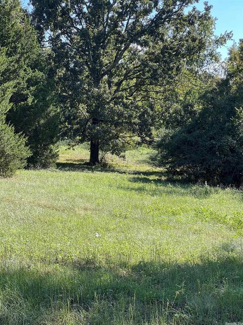 233 Mill Pond, Conway, AR 72058 photo 1