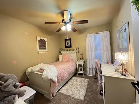24 Apricot, Ward, AR 72176 photo 20