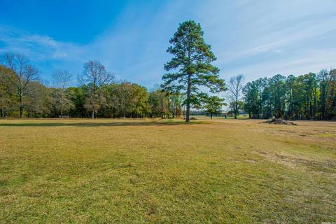 13112 Avilla W, Alexander, AR 72002 photo 42