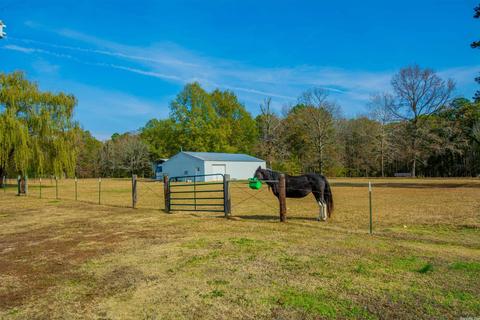 13112 Avilla W, Alexander, AR 72002 photo 37