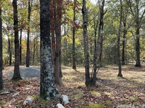 3100 Stoops Rd, Redfield, AR 72132 photo 7