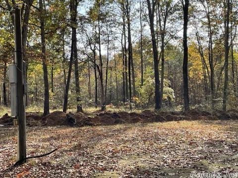 3100 Stoops Rd, Redfield, AR 72132 photo 8