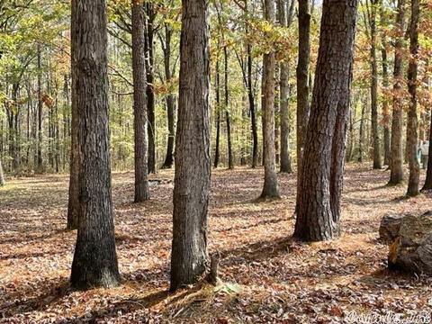 3100 Stoops Rd, Redfield, AR 72132 photo 2
