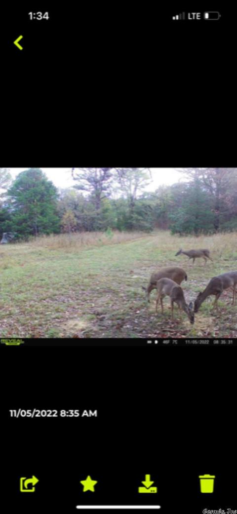40 Johnson Loop, Greenbrier, AR 72058 photo 28
