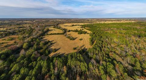 40 Johnson Loop, Greenbrier, AR 72058 photo 41