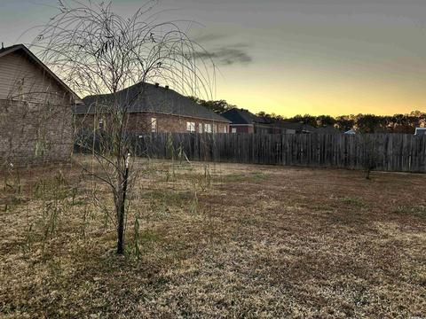 41 Mitchell, Greenbrier, AR 72058 photo 30