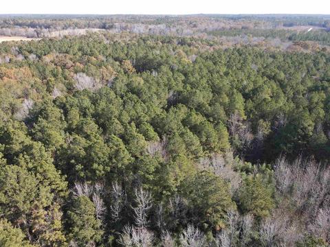 5011 Rado Dr, Pine Bluff, AR 71603 photo 16