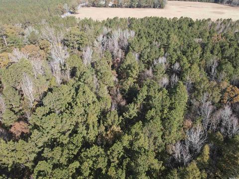 5011 Rado Dr, Pine Bluff, AR 71603 photo 19