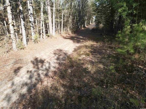 5011 Rado Dr, Pine Bluff, AR 71603 photo 11