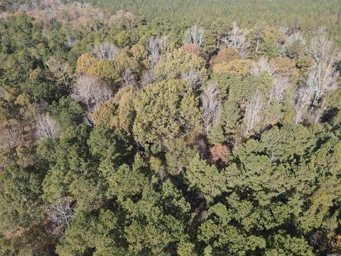 5011 Rado Dr, Pine Bluff, AR 71603 photo 15