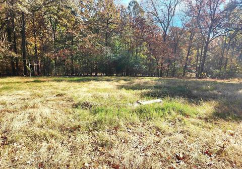 9015 Springhill Rd, Alexander, AR 72002 photo 1