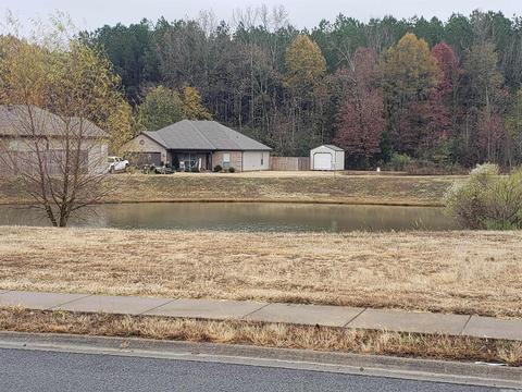 708 Rolling Rock Dr, Austin, AR 72007 photo 41