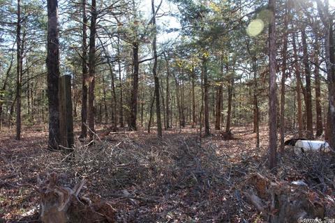 163 Prince Loop, Mountain View, AR 72560 photo 2