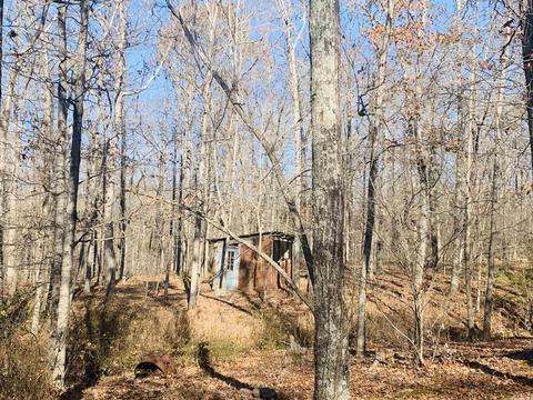 3506 Sunny Fox Rd, Mountain View, AR 72560 photo 47