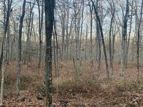 3506 Sunny Fox Rd, Mountain View, AR 72560 photo 36