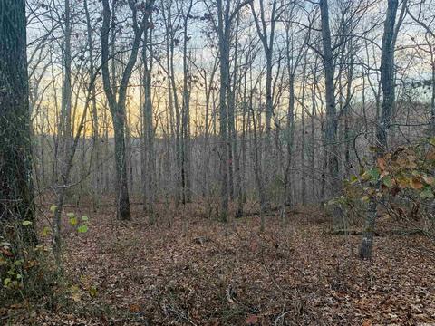 3506 Sunny Fox Rd, Mountain View, AR 72560 photo 38