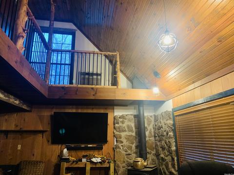 3506 Sunny Fox Rd, Mountain View, AR 72560 photo 10